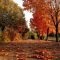 Soothing Autumn Landscape Ideas For This Season36
