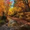 Soothing Autumn Landscape Ideas For This Season42