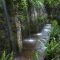 Awesome Garden Waterfall Ideas06
