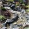 Awesome Garden Waterfall Ideas30