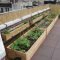 Awesome Rooftop Garden Ideas20