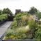 Awesome Rooftop Garden Ideas23
