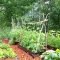 Lovable Small Place Gardening41