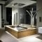 Luxury Bathroom Ideas 36