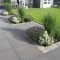 Beautiful Simple Front Yard Landscaping Design Ideas23