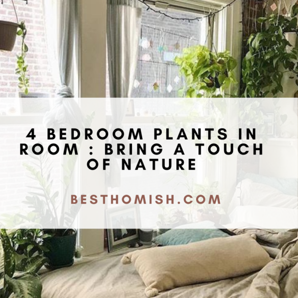 4 Bedroom Plants In Room : Bring a Touch of Nature