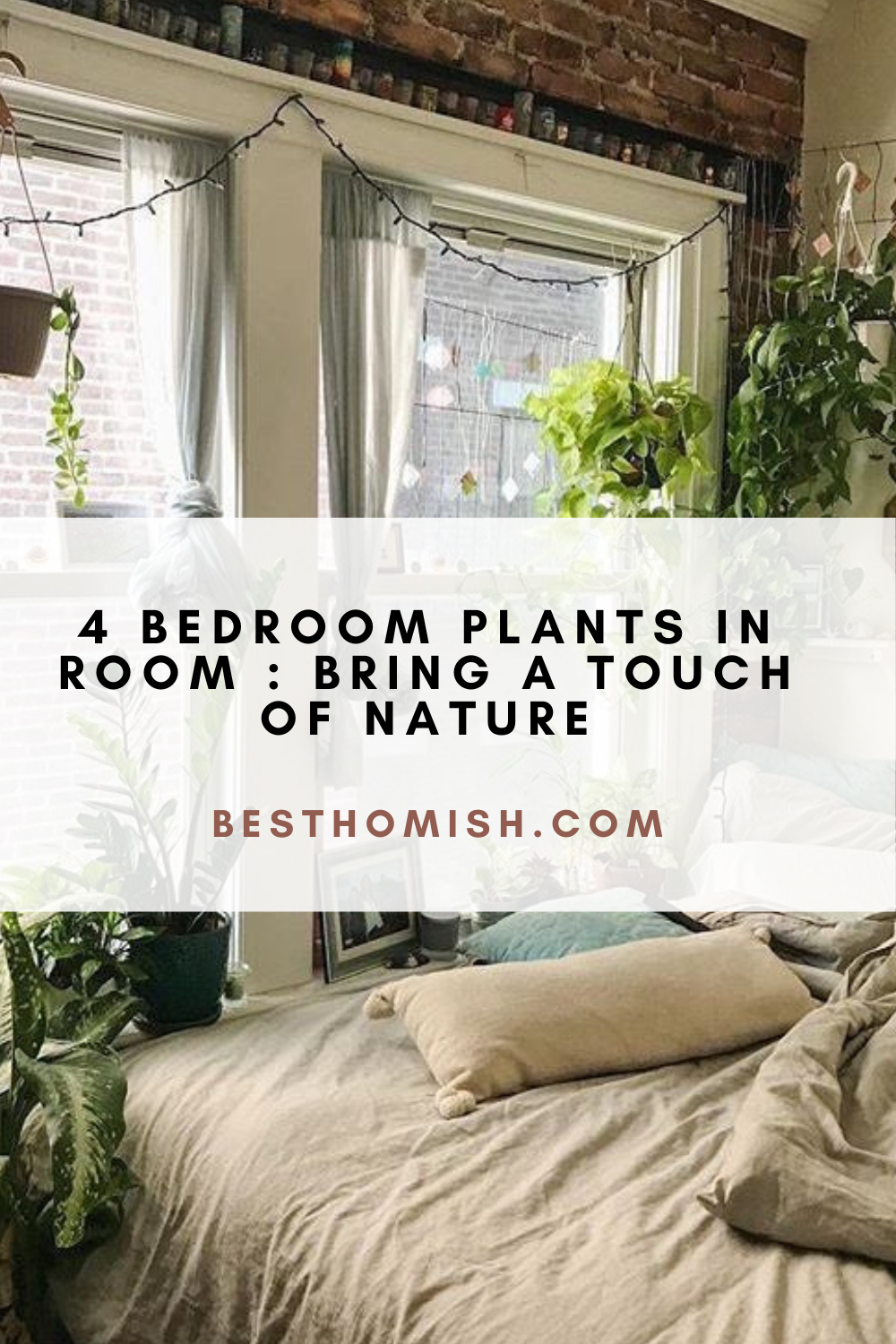 4 Bedroom Plants In Room : Bring a Touch of Nature