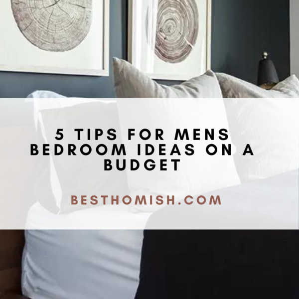 5 Tips for Mens Bedroom Ideas On A Budget