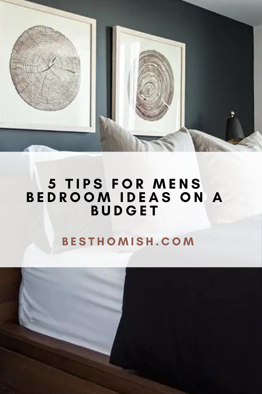 5-tips-for-mens-bedroom-ideas-on-a-budget